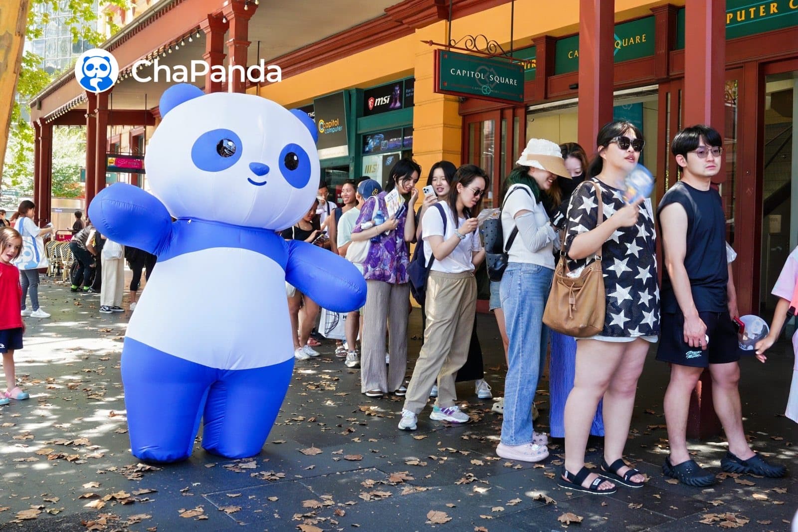 Shinymarketing influencer marketing case chabaidao